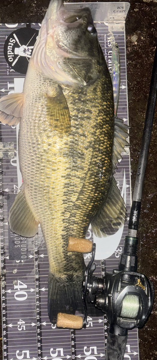 ®️ade tweet media