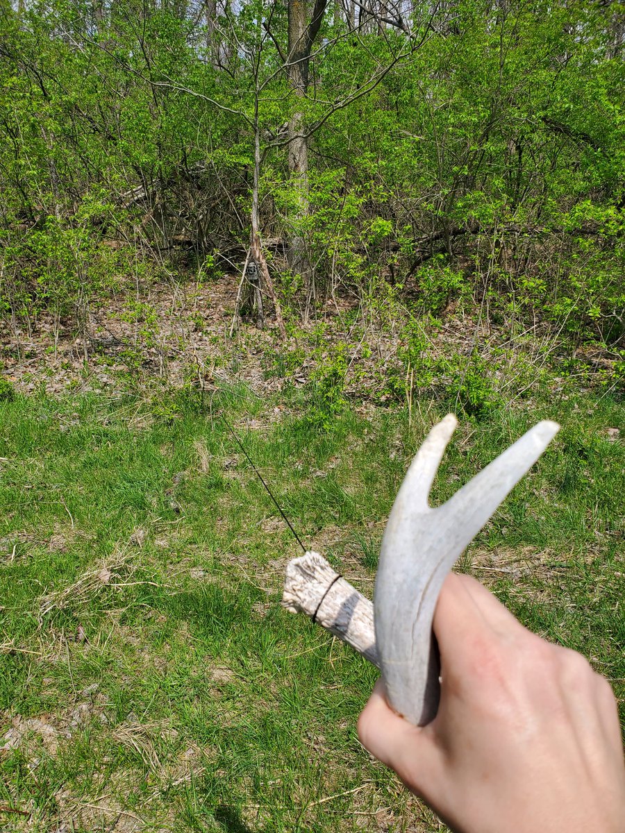 ʏᴏᴜʀ ᴘᴀʟ, ᴅᴀᴋᴏᴛᴀ tweet media