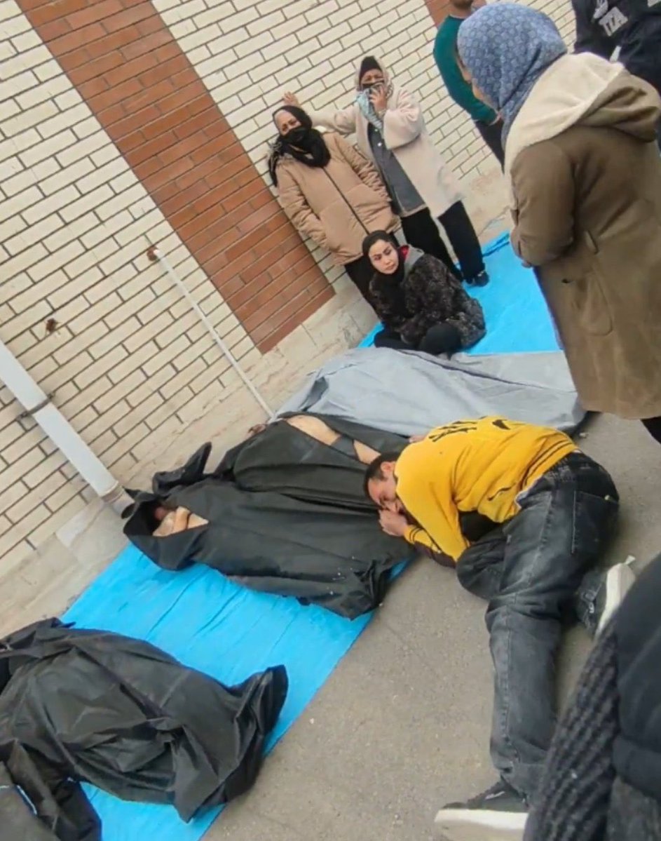 Liza Rosen tweet media