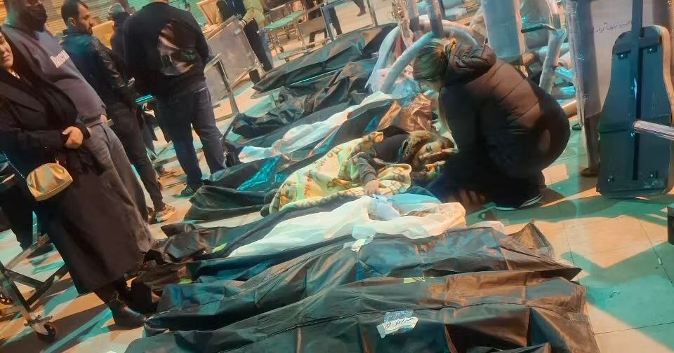 Liza Rosen tweet media