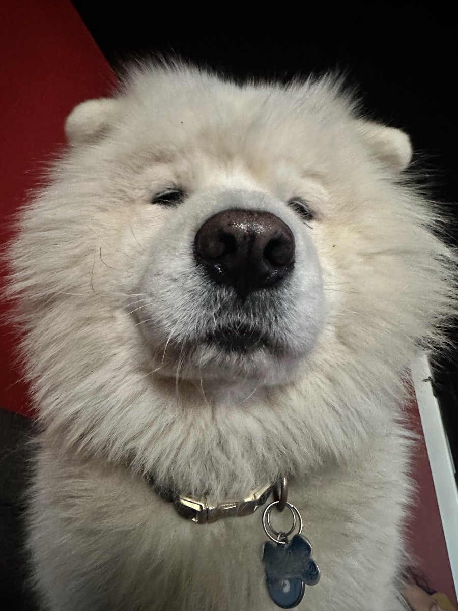 Terroriser tweet media