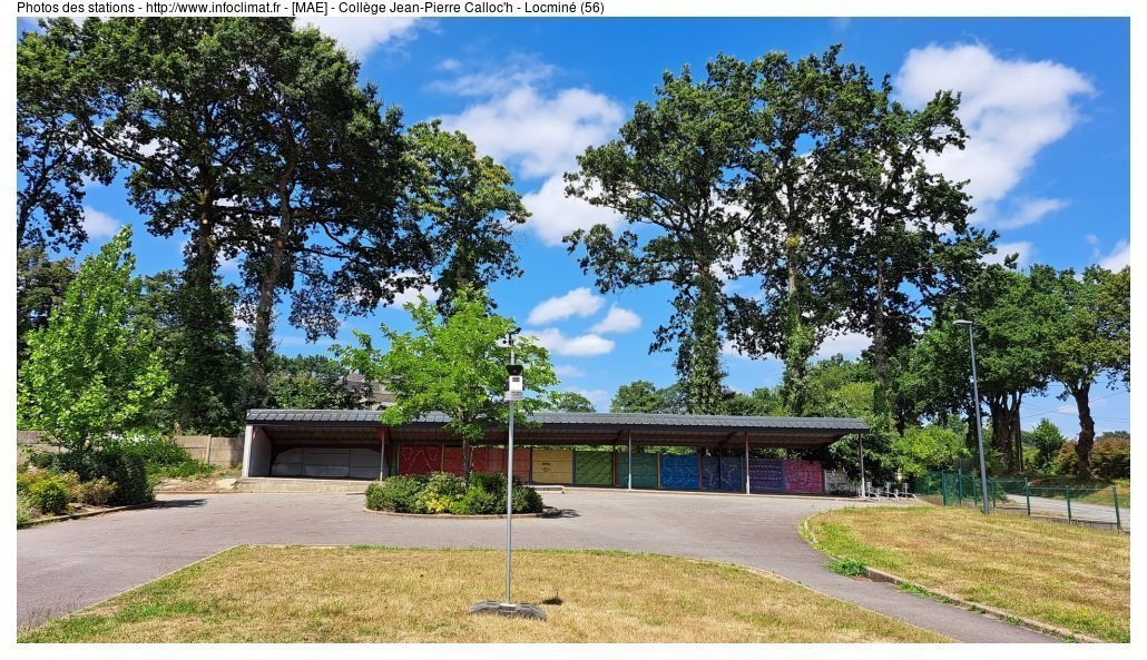 Seedz🐍🚁 🟨⬛ tweet media