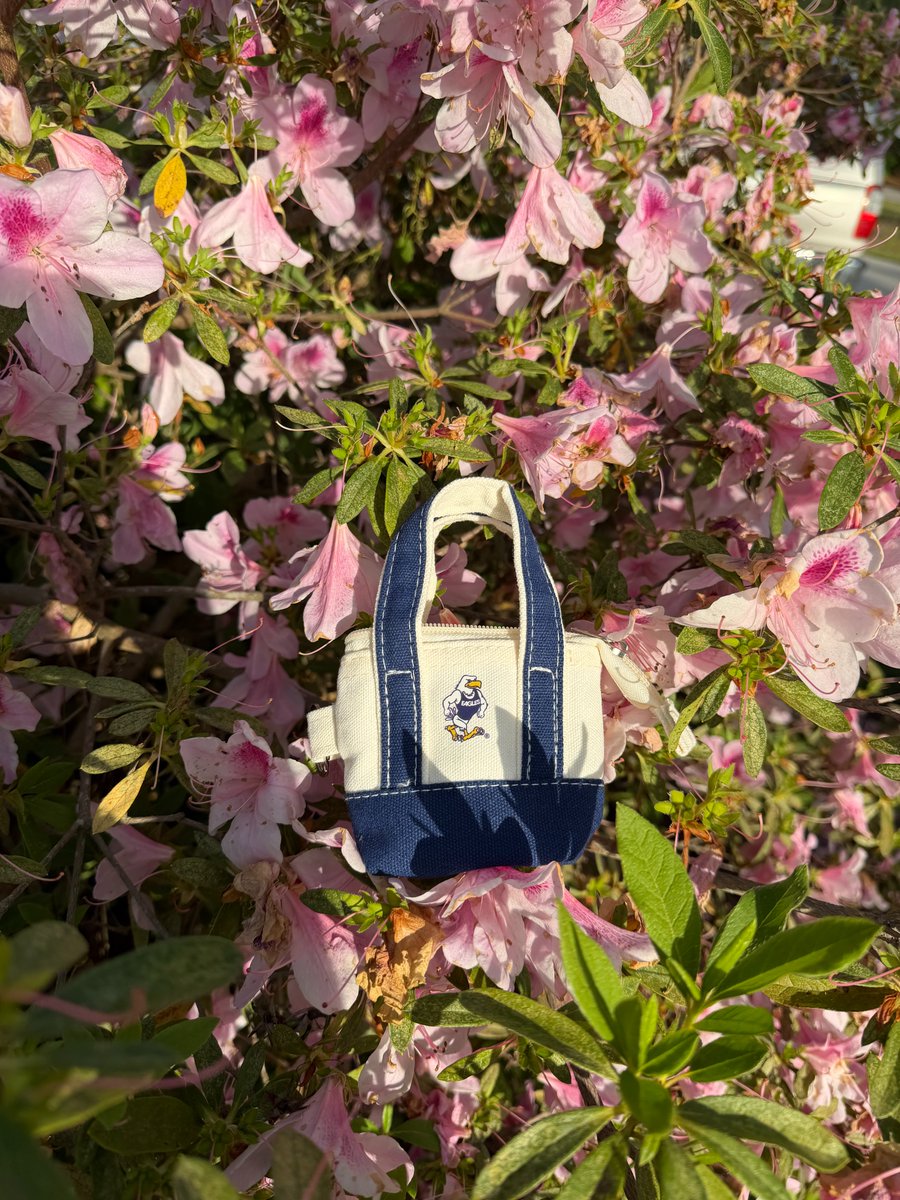 SXCStatesboro's tweet photo. Mini Boat Totes went on some adventures this past week. Check out where all they traveled! 🌸
#gata #sxc #hailsouthern #minitote #georgiasouthern #dunkin #diner #paulson #plush #peeps
https://t.co/7RLLnW7rkR https://t.co/kGQWCvmg7n