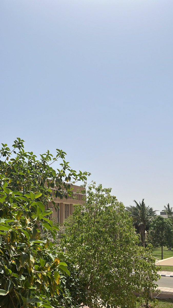 Jana ‏ tweet media