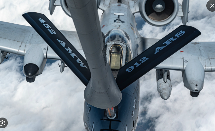 ObjS_Wauwau_vor_langer_Zeit tweet media