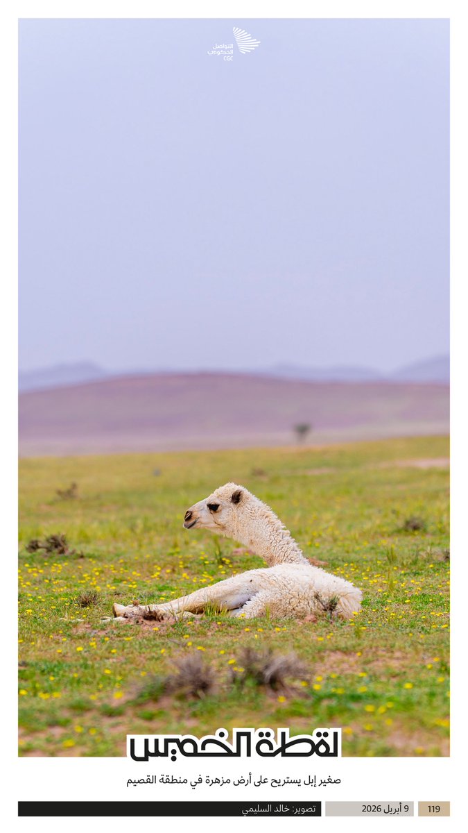 التواصل الحكومي tweet media