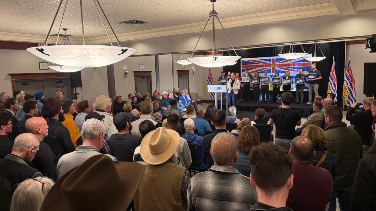 Caroline Elliott tweet media