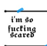 cain & abel tweet media