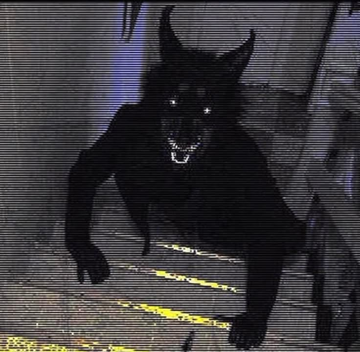 🏳️⚧️ Yohualxochitl Cozamalotl la secuela. tweet media