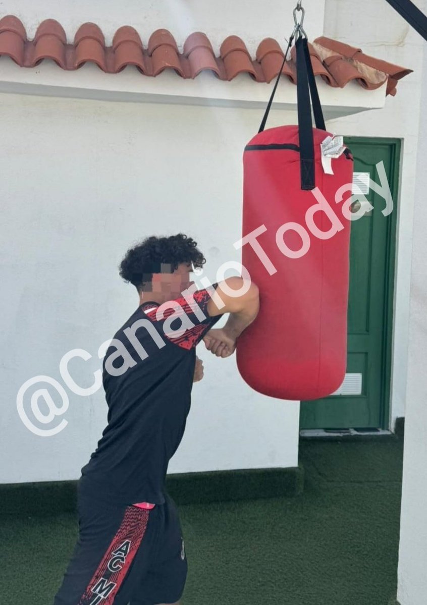 Canario Today tweet media