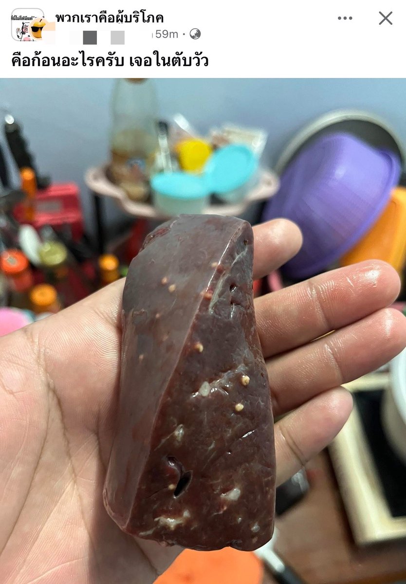 เด็กชายคำคม tweet media