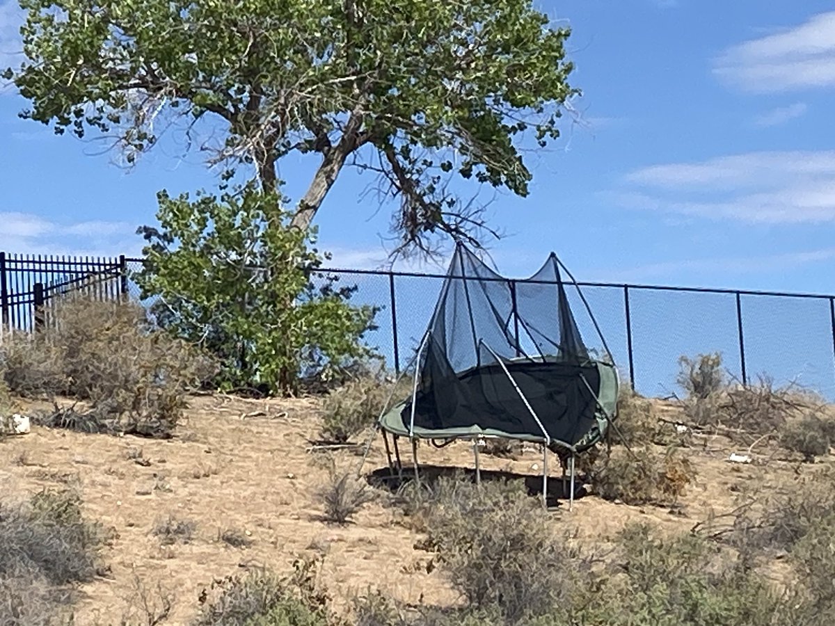 A saucer shaped UFO has landed in the desert outside of Rio Rancho New Mexico USA.