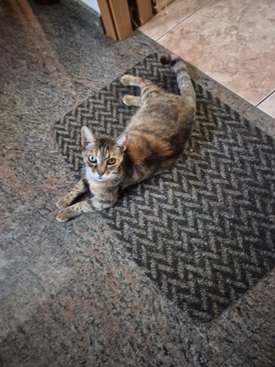 Jaume Fàbrega tweet media