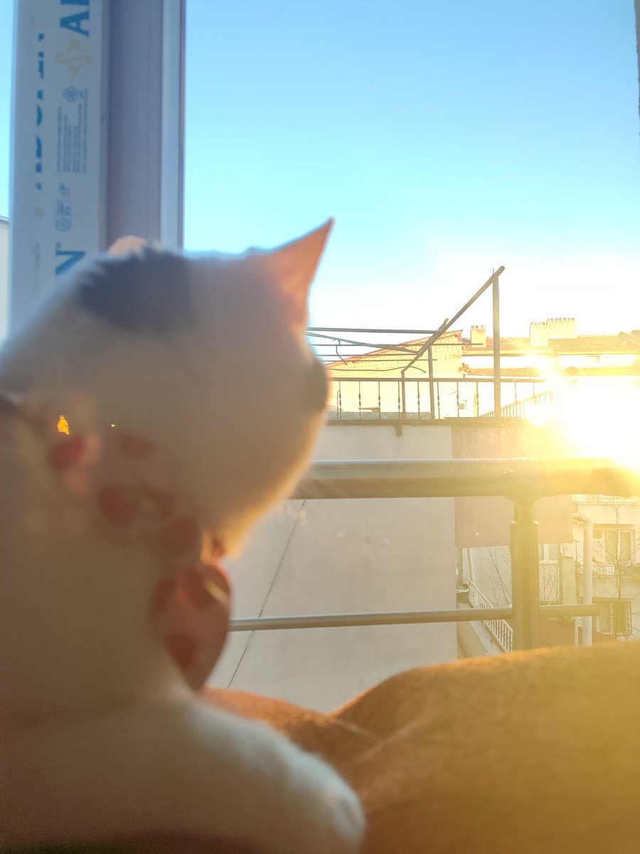 Ulu Kamgal Bado ve Tombi Bacı tweet media