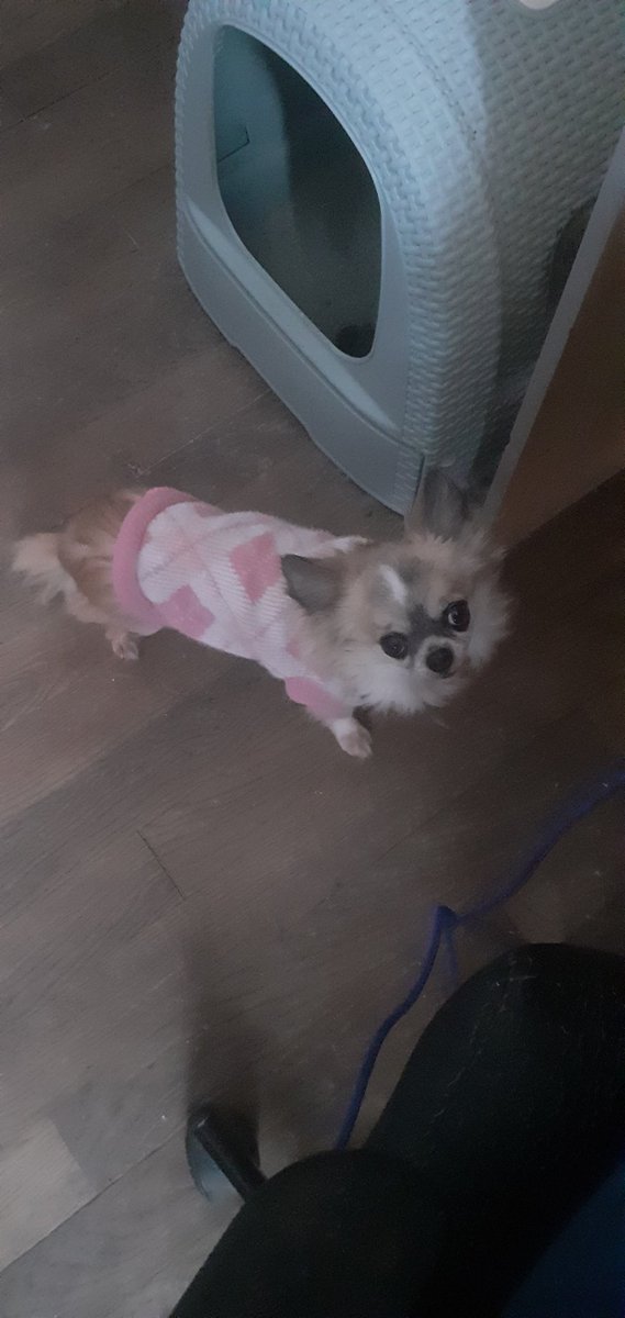 Daft ワラス tweet media