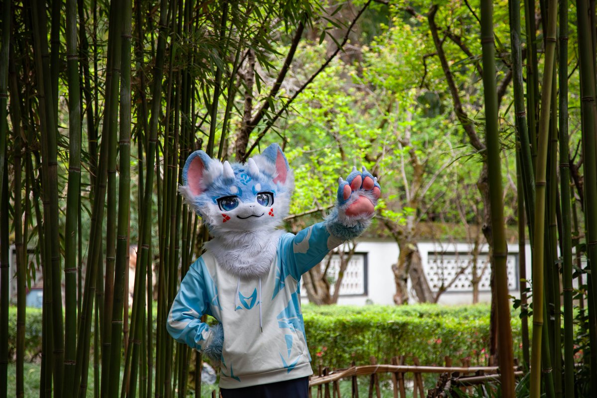 kuankuan2007's tweet photo. 毛五之
和背景不在同一个图层的宽宽

会去HF，有没有串房或者一起玩 https://t.co/td6GXLPvYO