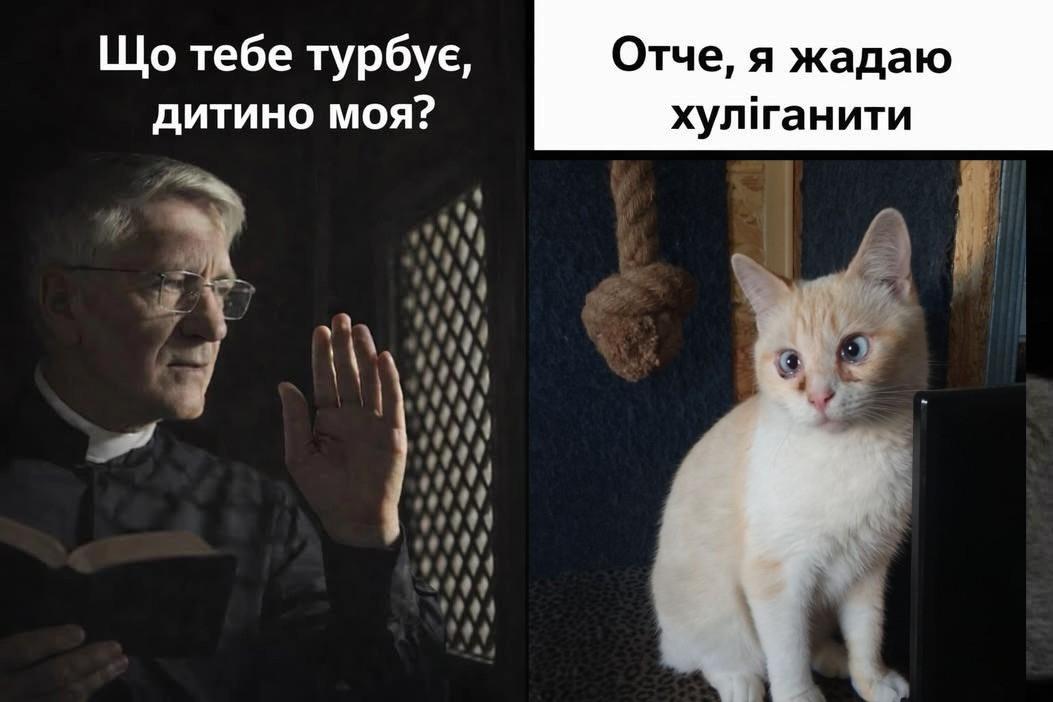 Розбита Бородянка tweet media