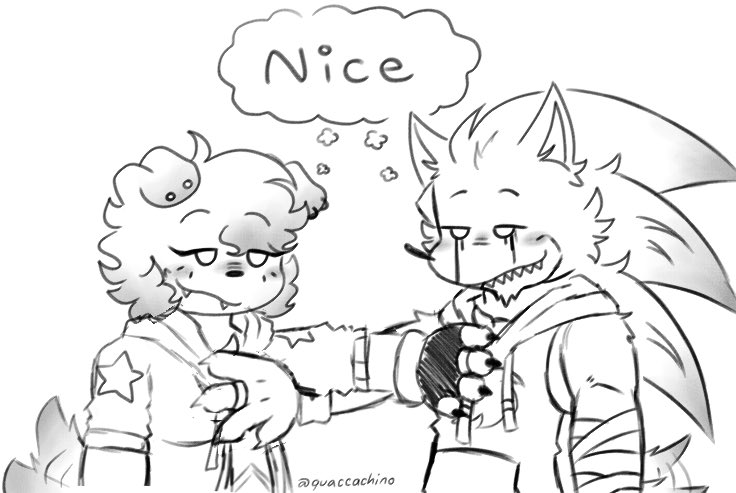 Quaccachino! tweet media