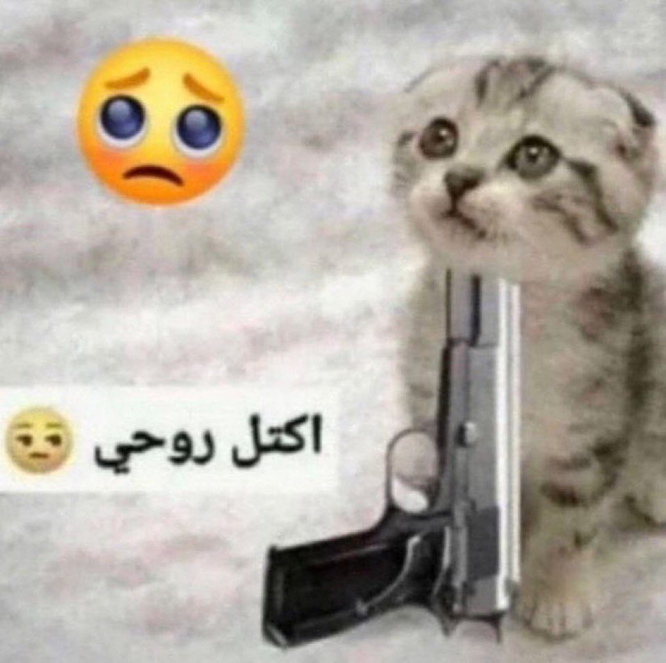 gyuri★ tweet media