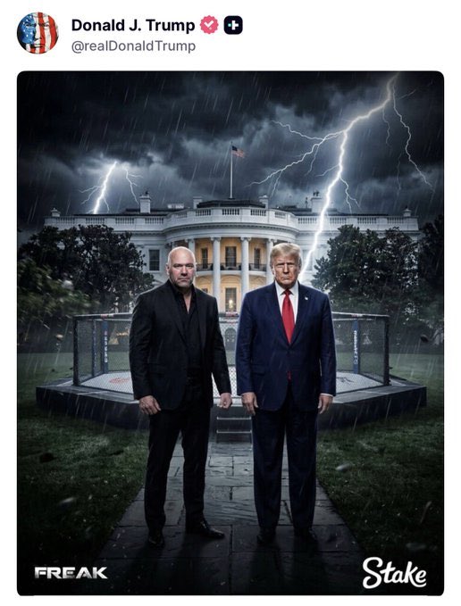 Tempus0099 tweet media