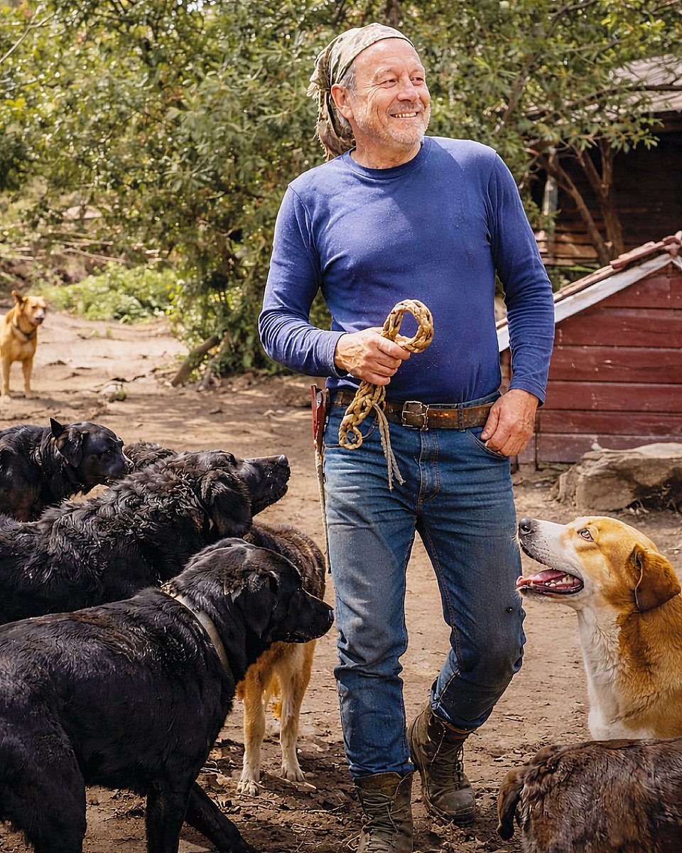 Plataforma ALTO tweet media