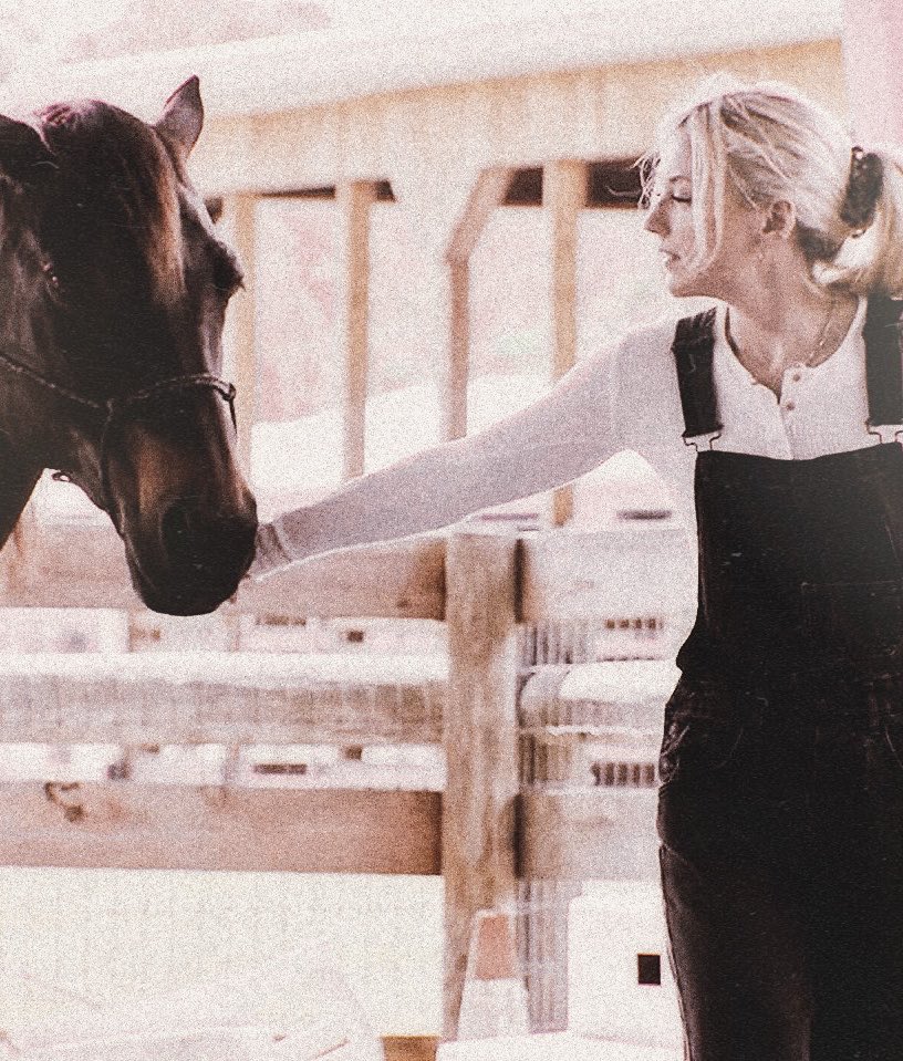 โ ๐๐๐๐๐๐๐๐ โฆ ยฐ ๏ฝก tweet media