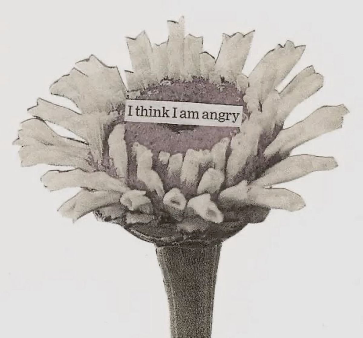 โ ๐๐๐๐๐๐๐๐ โฆ ยฐ ๏ฝก tweet media