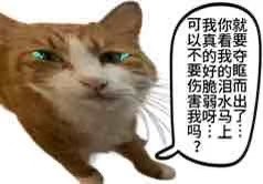 Lycheeiceee_ tweet media