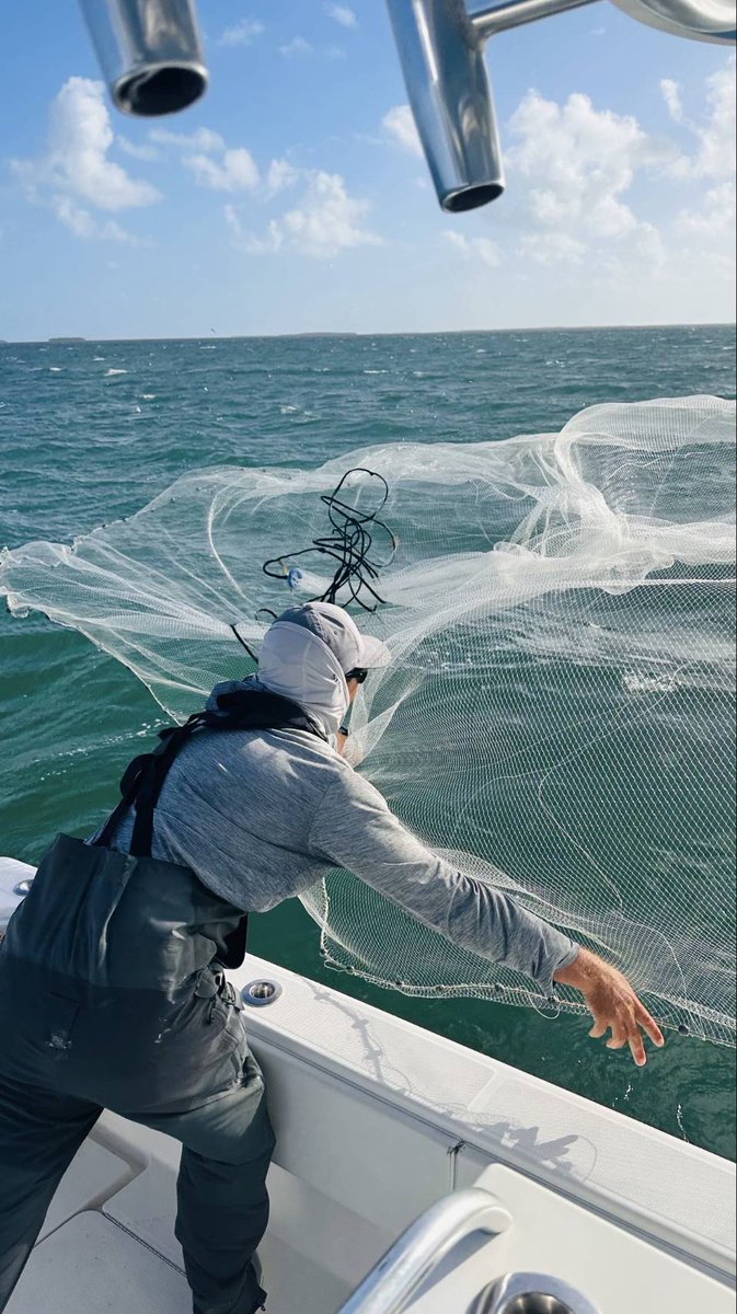 Ecchang7's tweet photo. Key West hidden gem 🌊
Being out on the water and seeing local fishing up close is such a cool experience. Definitely worth it. @travalaCom https://t.co/9tbu3kgYST