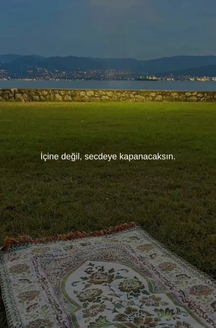 Roşan Eskici (@rosaneskici) on Twitter photo 