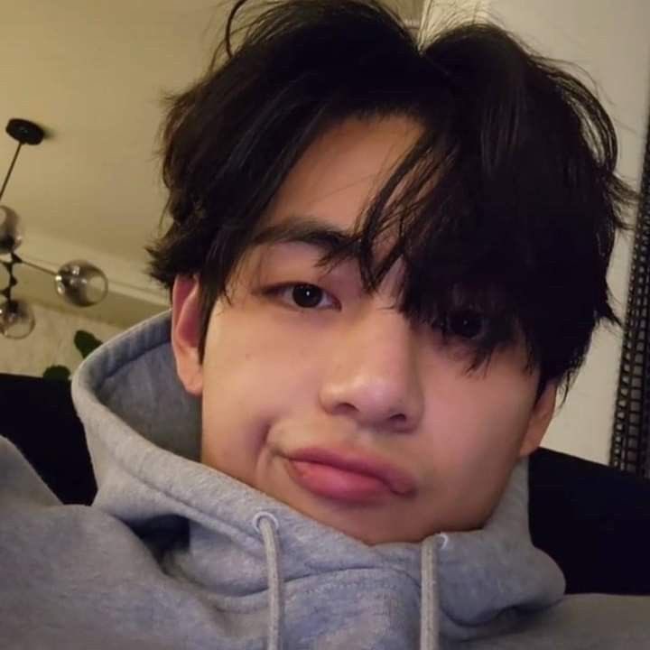 theo 📎 tweet media