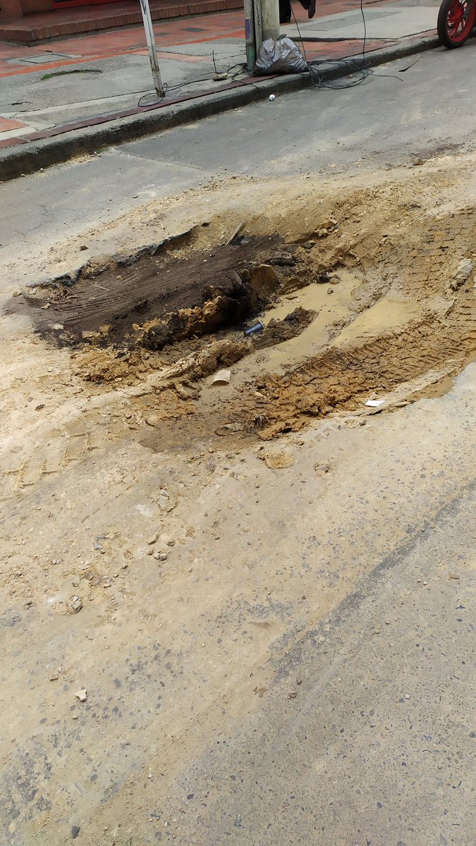 Adriana Cardona 🐱 tweet media