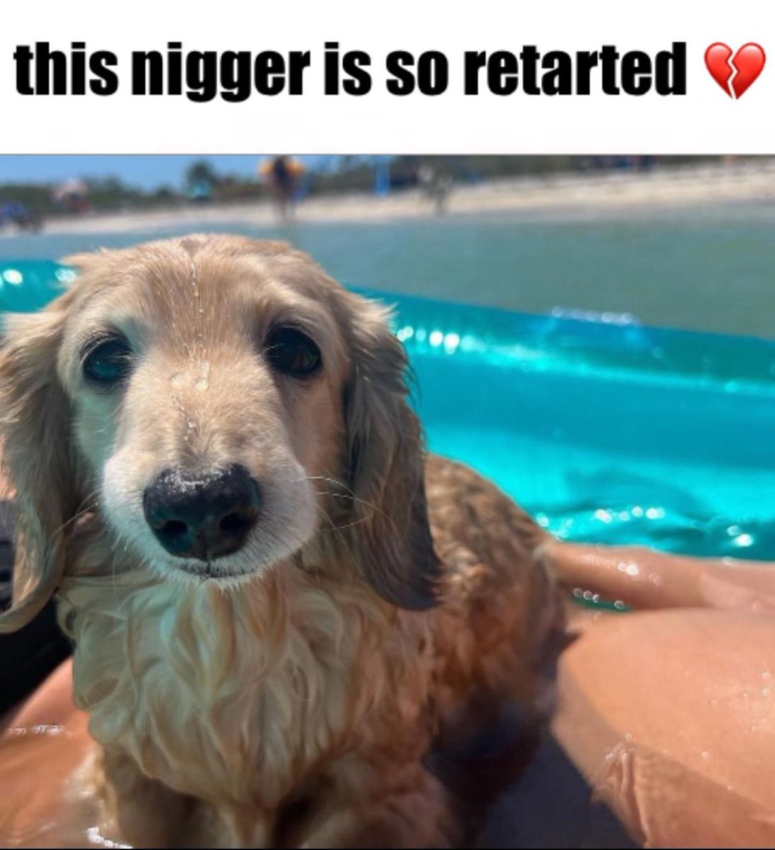 GANGST⭐️R tweet media