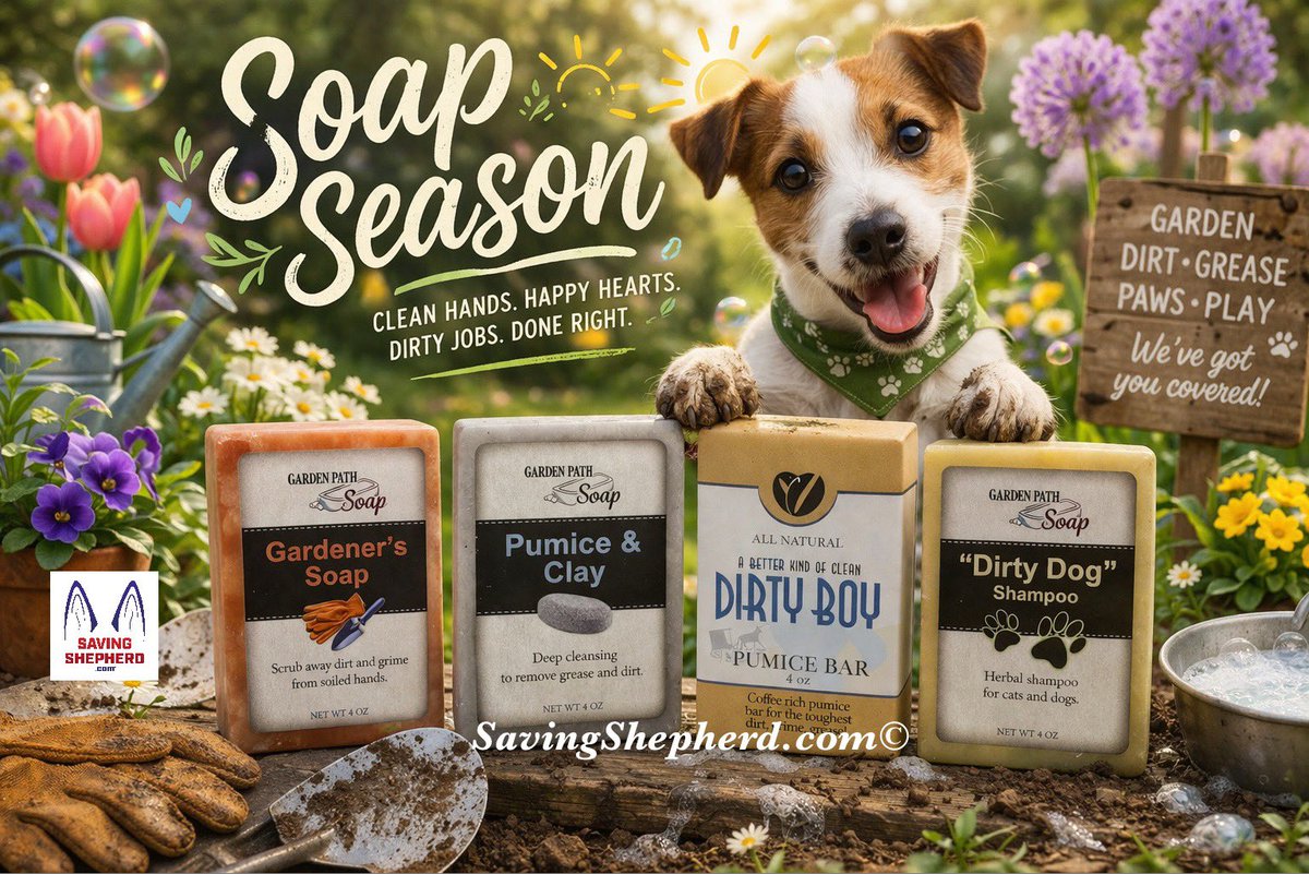 Saving Shepherd tweet media