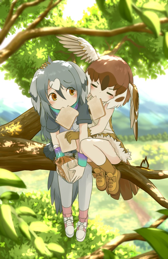 火柴🕯️マッチパキリ tweet media