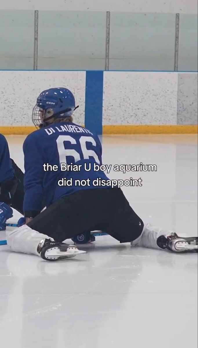 Info Stephen Kalyn Brasil tweet media