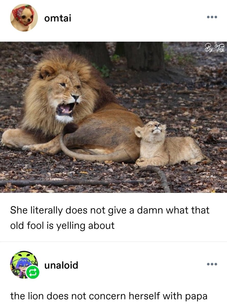 molly wayne al ghul natchios tweet media