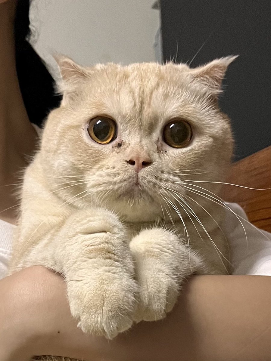 นัจจัง | ซินแสNo.1 สาขาดาวอังคาร tweet media