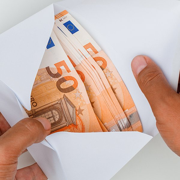 Fleur Morel tweet media