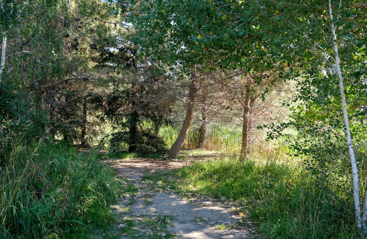 Nick Carr tweet media