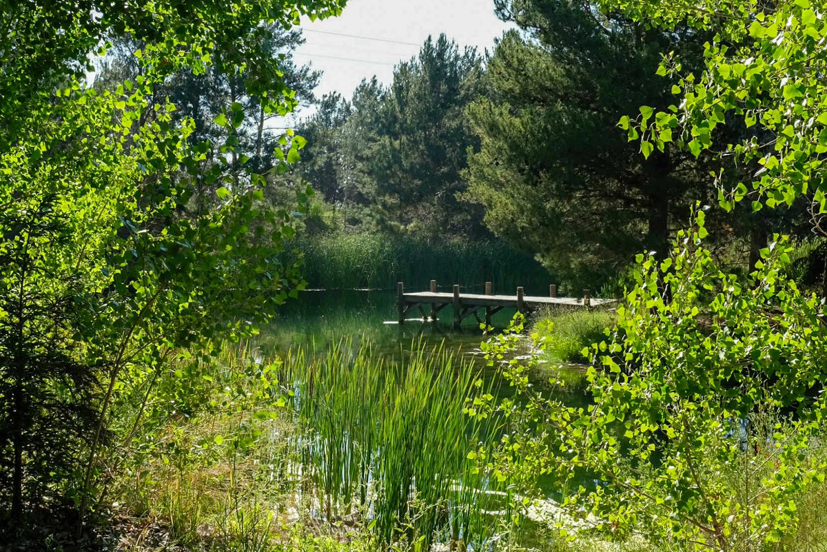 Nick Carr tweet media