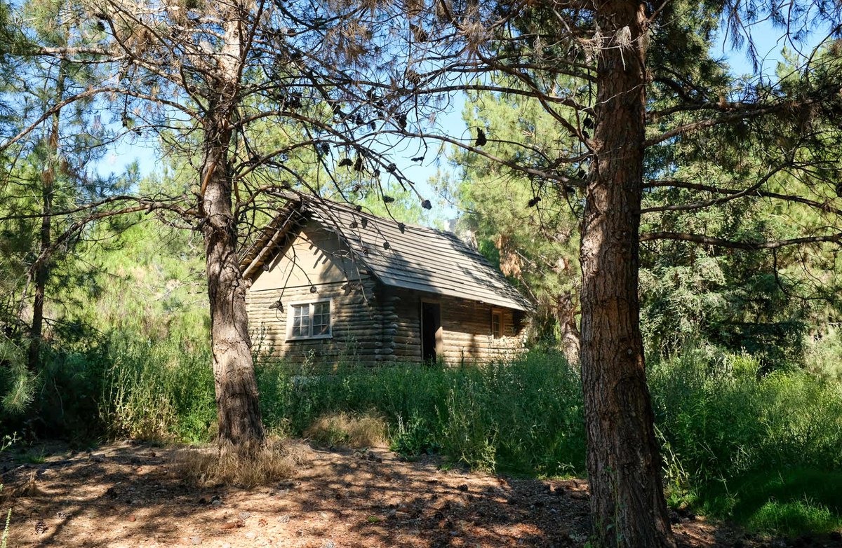 Nick Carr tweet media