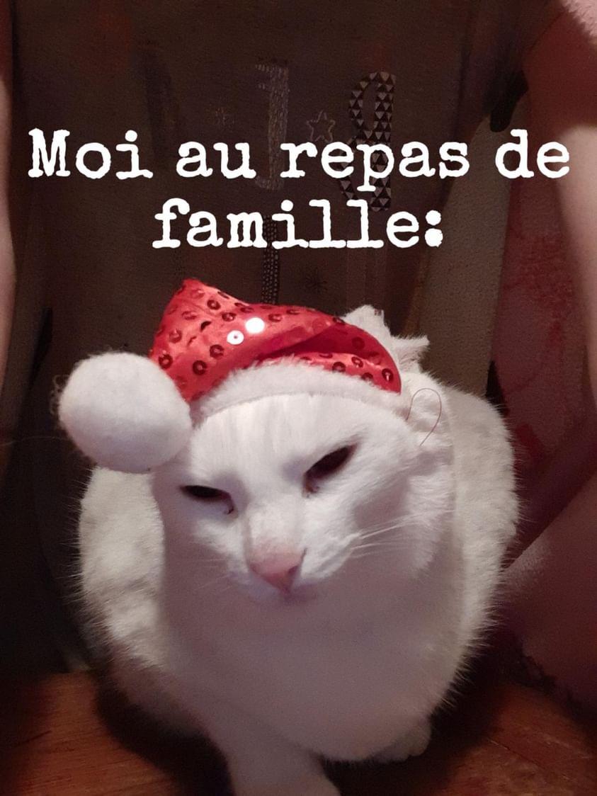 Daft ワラス tweet media