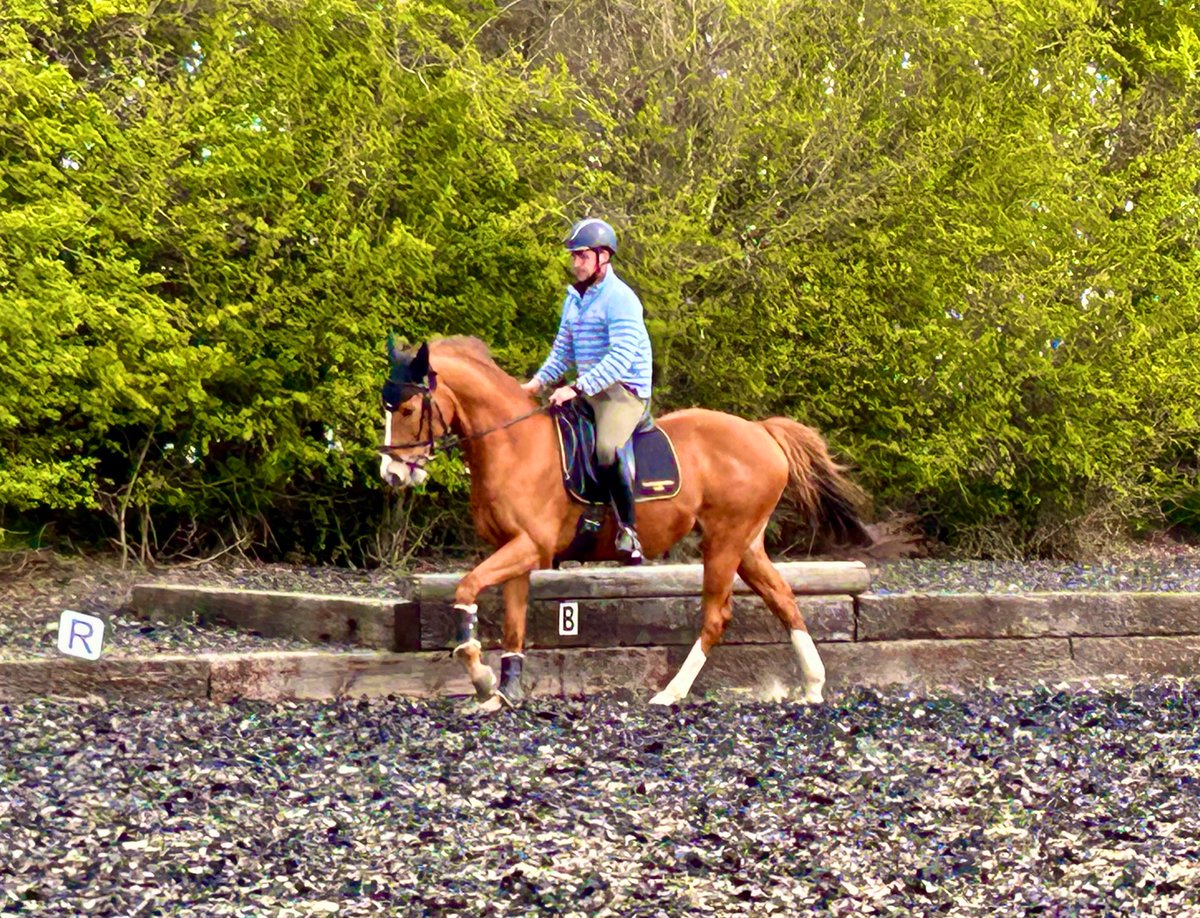 Pamela Perl tweet media