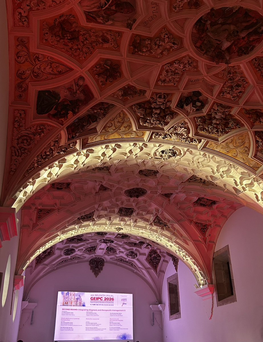 Alfredo Bardal 🇪🇸 tweet media