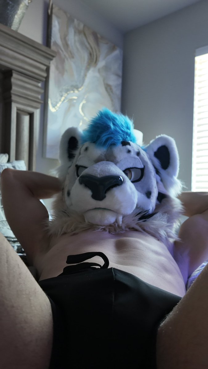 Swifty🔜FWA tweet media