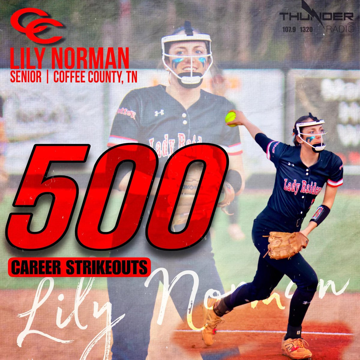 TN Fury Platinum Dillon tweet media