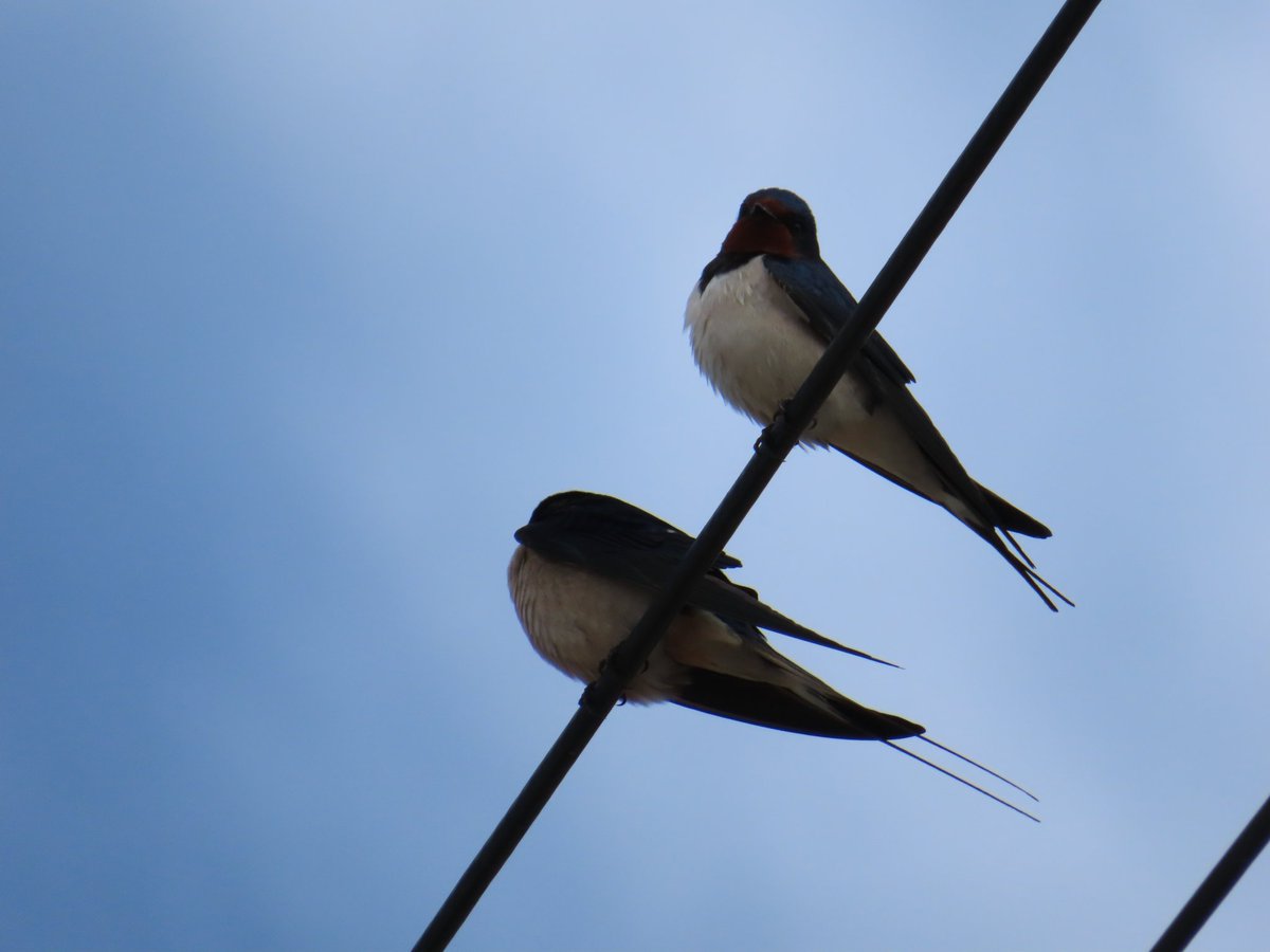 Antonio Ortiz Mateos tweet media