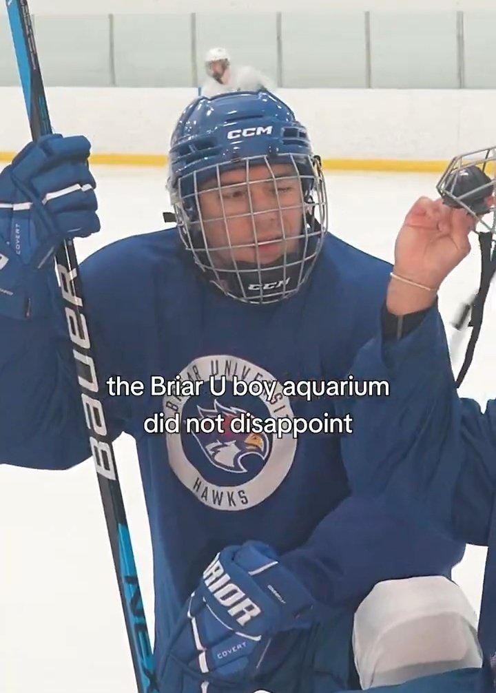 Off Campus | briardiary tweet media