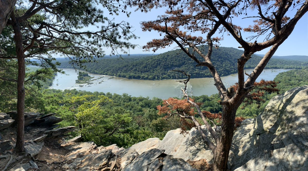 The Hiking Lawyer tweet media